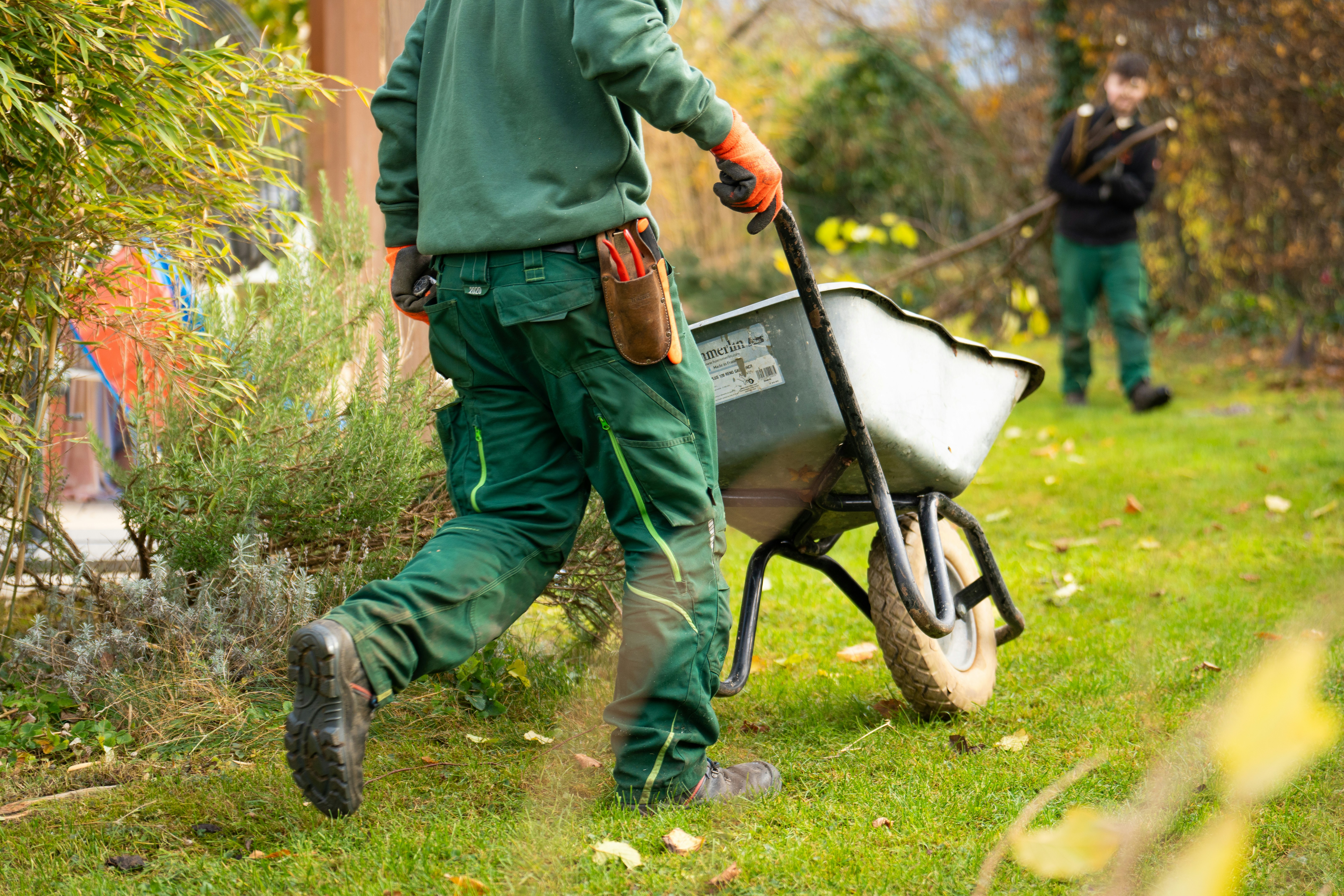 Planting potential - Ian's story